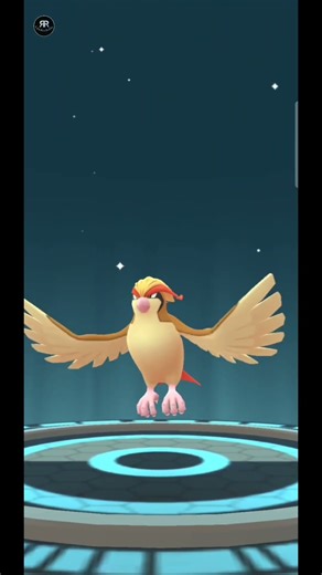 POKEMON GO: HUNDO PIDGEY TO HUNDO MEGA PIDGEOT