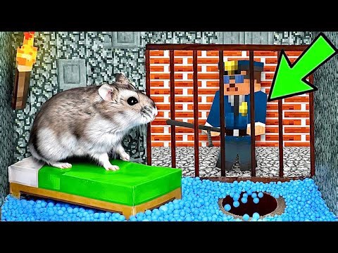 🐹ESCAPE MINECRAFT Hamster Maze with Traps 😱[OBSTACLE COURSE]😱