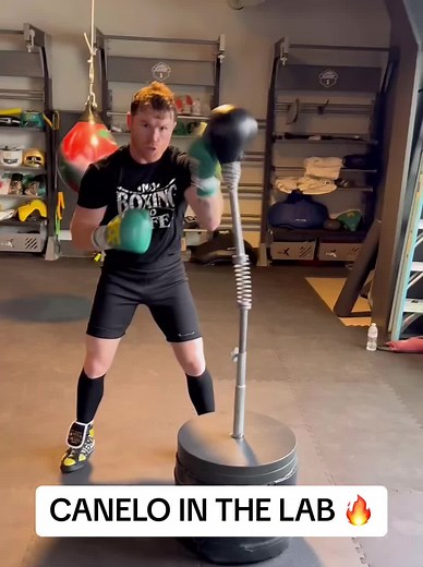 Canelo not even looking at the bag 👀🔥 @canelo #caneloalvarez #caneloalvarez🇲🇽 #canelo