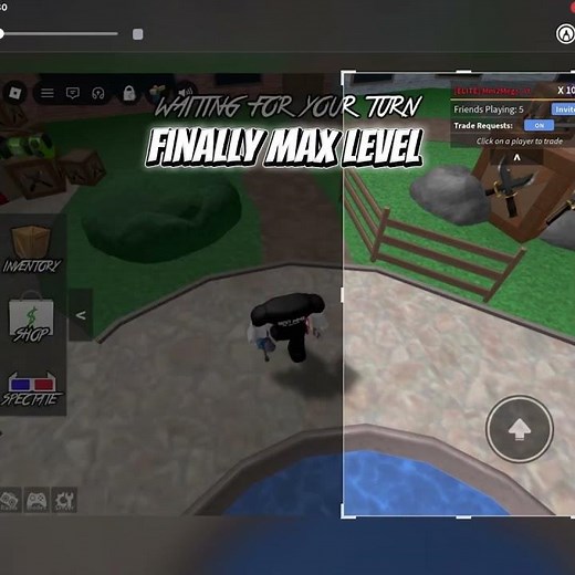 Finally i hit max level/X100. In mm2