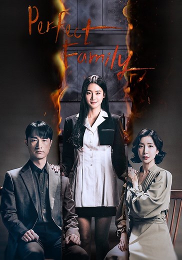 Perfect Family - streaming tv show online