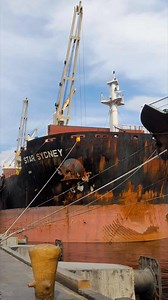 5.7K views · 155 reactions | Bulk Carrier #ship #veseel | The Ship Shipping | Facebook