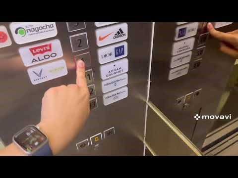 2018 Schindler 5500 traction elevators @ Vincom Center Landmark 81 in Ho Chi Minh City, Vietnam