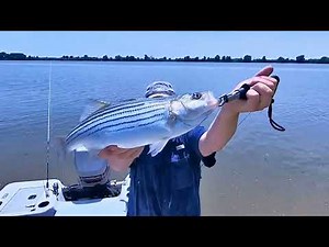 STRIPED BASS FISHING! Lower Illinois River Eastern Oklahoma & I40 bridge Arkansas River Ep1