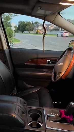 52 reactions · 5 comments | Check out this unbelievable encounter with a snake in a car! It's definitely a big NOPE moment.  Can't believe I captured this footage! #snakeinmycar #scaryencounter #cantbelieveit #serpentadventure #crazymoment #fyp #fy #viral | James D. Augustus | Facebook