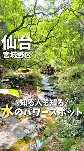 【仙台】市内にこんな場所が？！知る人ぞ知るパワースポット⛩️#宮城旅行 #宮城観光 #仙台観光 #仙台旅行 #神社 #パワースポット #japan #shrine #sendai #shorts