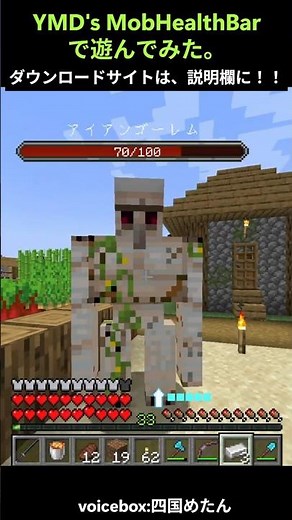 Minecraft Health Bar Display Mod