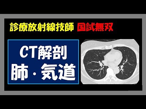 【診療放射線技師国家試験】 CT解剖 肺・気管支