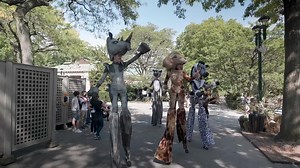 2K views · 3.6K reactions | Boo at the Zoo gets prehistoric with Bronx Zoo Dinosaur Safari. Join the fall festivities full of spooky fun like pumpkin carving, magic & mind reading, crafts, & more! Every Sat & Sun Oct 1-30 + Oct 10. Reserve date-specific tickets now. | Bronx Zoo | Facebook