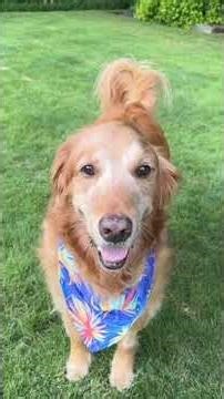 THE THINGS YOU MISS MOST