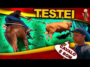 I tested the Horse in the past with the Oxen