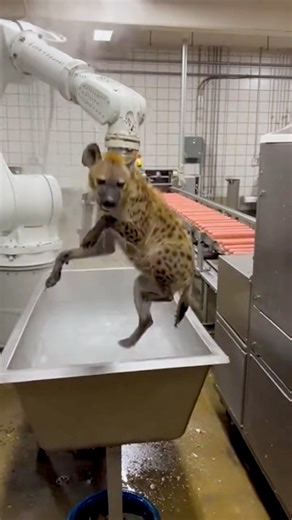 Futuristic Farm — The Next-Level Machine World🐂🤖12