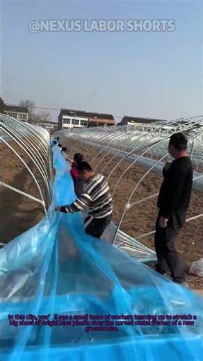 Workers Stretch Plastic Sheeting to Build a Greenhouse 🌱 #GreenhouseBuilding
