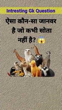 ऐसा कौनसा जानवर है जो कभी सोता नहीं है?😱 #gk #gkquiz #quiz #shorts