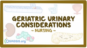 Geriatric considerations - Urinary: Nursing: Video & Causes | Osmosis