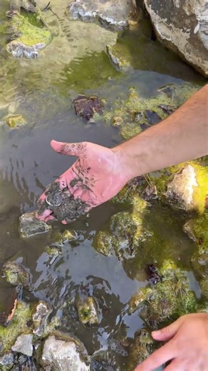 Detector Picked Up Signal Underwater! #metaldetecting #treasuresearch #metaldetector