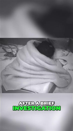Foundling Found in Shoebox: A True Story of Abandonment and Hope
