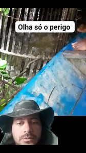 1.1M views · 8.5K reactions | Infestado de piranha #viralreels #reelsviral #fishing #React #facebook #pescaria | Tutorial da Pesca | Facebook