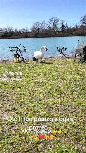 Video di jakk123 (@jakk12379) con Падает снег - Korg style