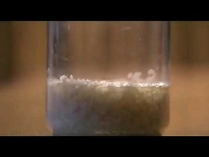 Water Documentary - Masaru Emoto's Rice Experiment.flv