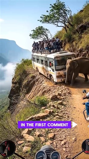 85K views · 288 reactions | “An Unexpected Elephant Appeared by the Bus — What Happened 15 Seconds Later Left Everyone Stunned” | Magic Touch | Facebook