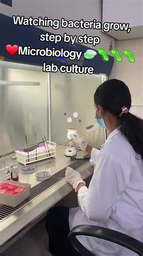 Love microbiology #microbiologist #laboratoryscientist #bscmlt💉🔬 #foryou #tik_tok #creatorsearchinsights #lab
