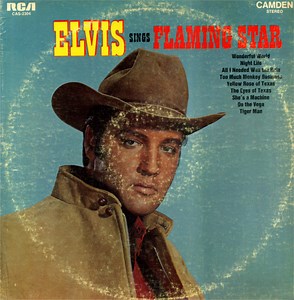 Elvis Presley - Elvis Sings "Flaming Star"