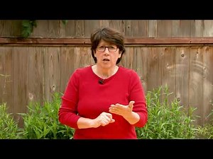 School Reunification Plan