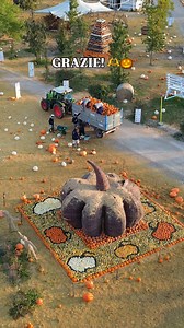 96K views · 3K reactions | GRAZIE!  Stasera si conclude il Villaggio...