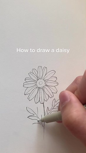 Easy Daisy Drawing Tutorial: Step-by-Step Daisy Flower Sketch