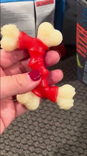 Puppy Chew Toys for Teething — Safe & Fun Options for Your Puppy