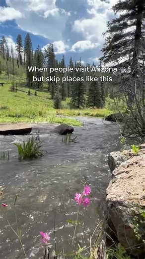 Who wants to explore here? 😍🏞️ The White Mountains are a gorgeous mountain range in Eastern Arizona, approx. 4 hours from Phoenix. This scenic hike offers a perfect blend of challenge and reward while navigating winding paths, dense forests, cross babbling brooks, and mountain vistas. As you ascend to higher elevations, be prepared to be star-struck by panoramic views that will leave you breathless! 🤩 Tag a friend! #welcometoarizona #wanderlust #beautifuldestinations | Welcome to Arizona