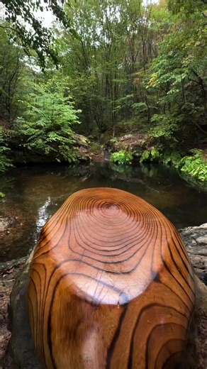 Fish Cook #fish #health #trend #cooking