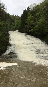 8K views | Robert H. Treman State Park on Reels | Facebook