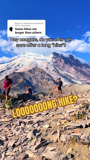 Experience the Beauty of Mount Rainier National Park