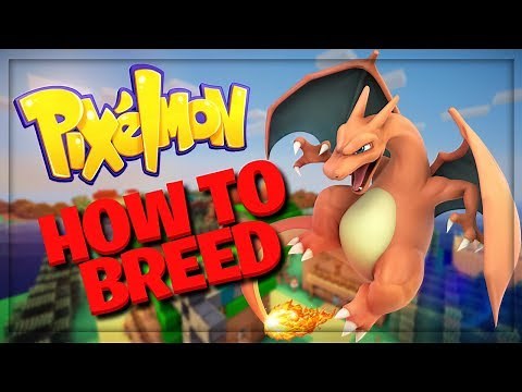 HOW TO BREED | Pixelmon Reforged