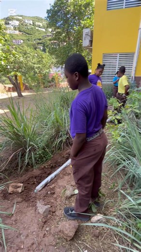 67 reactions | Grade 5 Innovation Project: an irrigation system designed to reuse wasted water! Ministry of Education, Youth Affairs and Sports #VirginIslandsEducation #FullSTEAMAhead #InnovationWeek2025 #BuildingBrighterFuture | Francis Lettsome Primary School | Facebook
