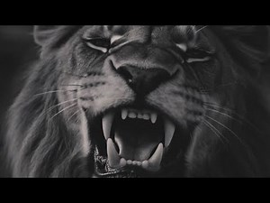 Keskin - ASLAN YAKIŞMAZ KAFESTE (Music Video)