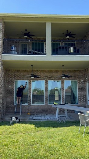 The prep before I decorate my outdoor spaces✨ This window vacuum cleaner set is amazing. You can also use this to clean your vehicle windows! Comment WINDOW VACUUM for the link✨ #vacuum #windowcleaning #windowcleaner | Tamara Bradshaw