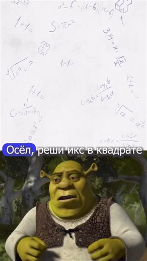 Школа 1+1 | Онлайн-платформа ЕГЭ on Instagram: "Шрек поясняет #математика #егэ #полезное #реки #рекомендации"