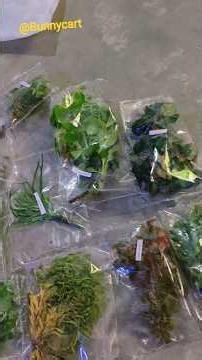 Bunnycart ♥️ || bunnycart aquarium plants ☘️🍀 || bunnycart aquatic plants 🌵🌵#trending