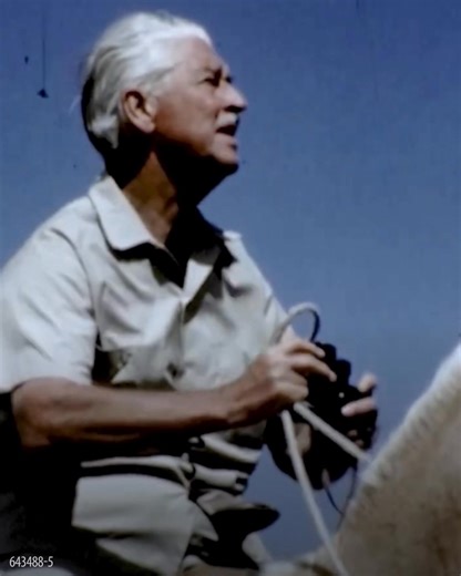 Medicare Solutions, Life Insurance, Financial Advice and Employee Benefits to help fiercely protect the life you've built. | Mutual of Omaha