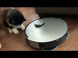 Ecovac Deebot X1 Review 2022