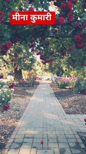 🌹BMP, Nature song 🌹