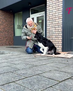 Stray dog finds a friend in a kind old man | Fabiosa Life Stories