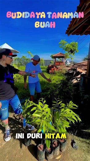 Budidaya Buah dan Wisata Edukasi di Desa