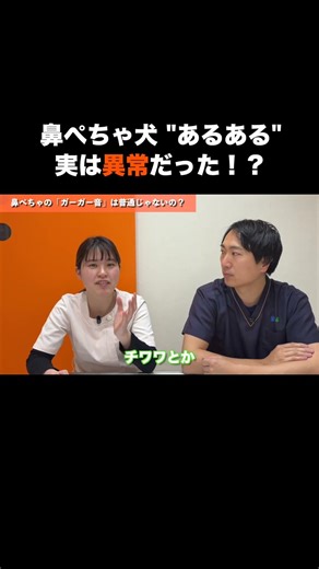 【獣医師が解説】ガーガー呼吸は危険…鼻ぺちゃ犬を脅かす喉の異常！