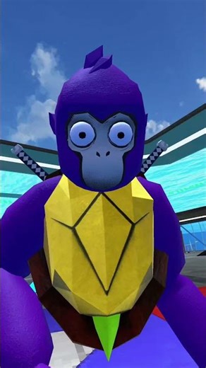 New shark go bundle TITAN TURTLE #sharkgo