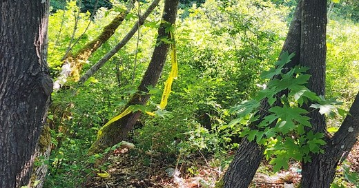 RCMP investigating death of teen girl near Duncan, B.C.