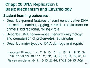 Chapt 20 DNA Replication I: Basic Mechanism and Enyzmology - SlideServe